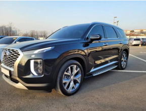 Hyundai Palisade 2020 - 2 | bex-auto.md