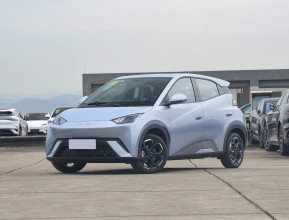 Byd Seagull Flying Edition 2025 - 4 | bex-auto.md
