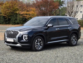 Hyundai Palisade 2020 - 2 | bex-auto.md