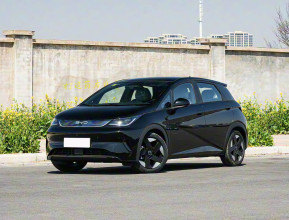 BYD Dolphin Top 2025 - 2 | bex-auto.md