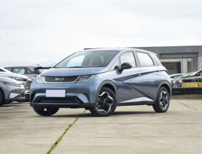 BYD Dolphin 2025 - 2 | bex-auto.md