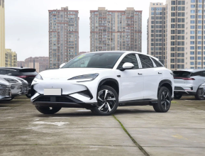 Byd Sea Lion 07 Basic 2024 - 1 | bex-auto.md
