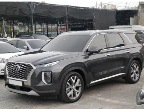 Hyundai Palisade 2019 - 3 | bex-auto.md