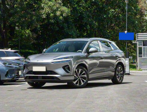 BYD Sea Lion 06 DM-i Basic 2025 | bex-auto.md