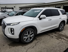 Hyundai Palisade Sel 2020 - 1 | bex-auto.md