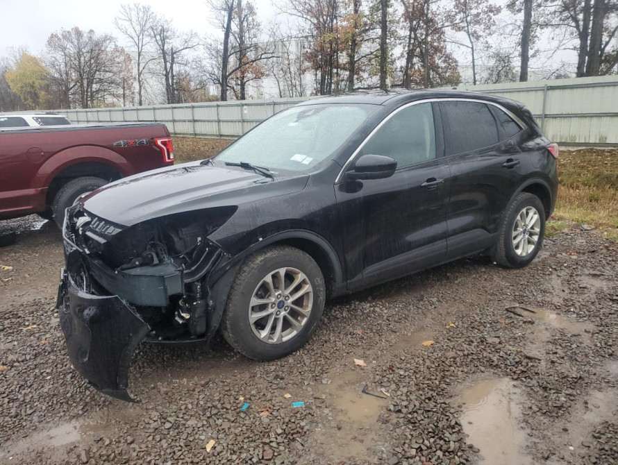 Ford Escape SE 2020 Ford Escape SE 2020 | bex-auto.md