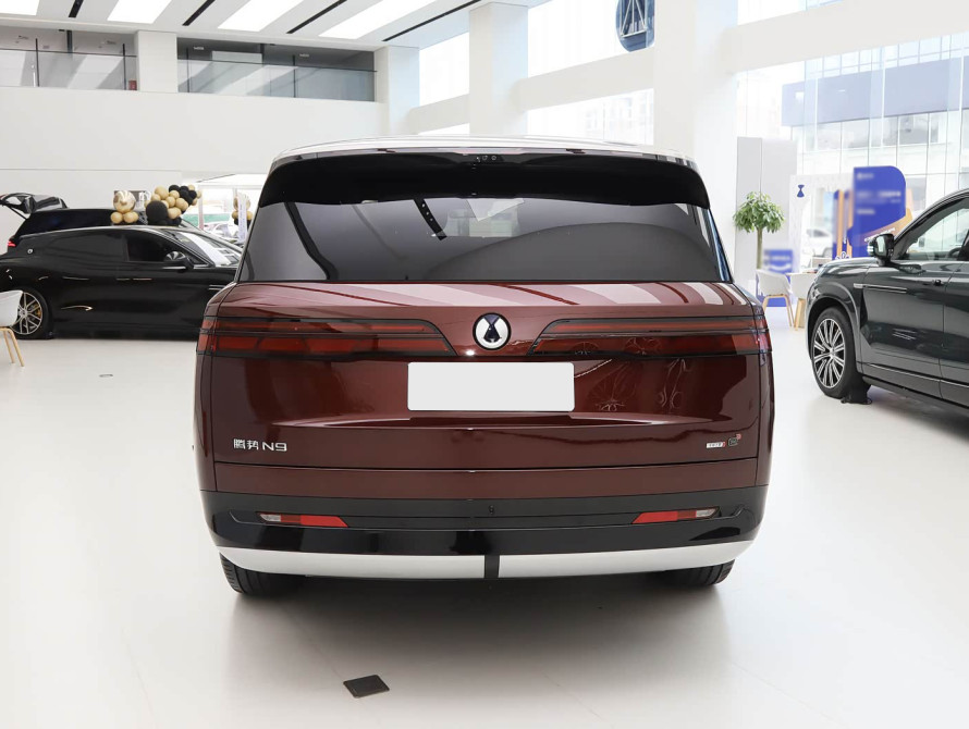 Denza N9 Top 2026 - 4 Denza N9 Top 2026 - 4 | bex-auto.md